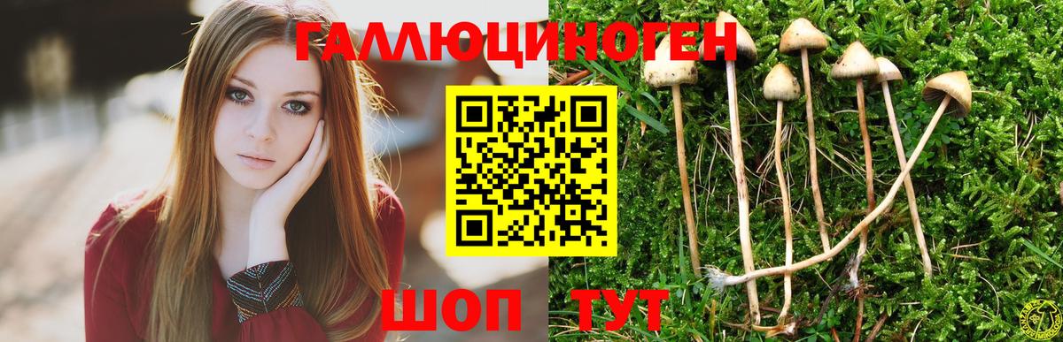 Псилоцибиновые грибы мицелий Боровичи